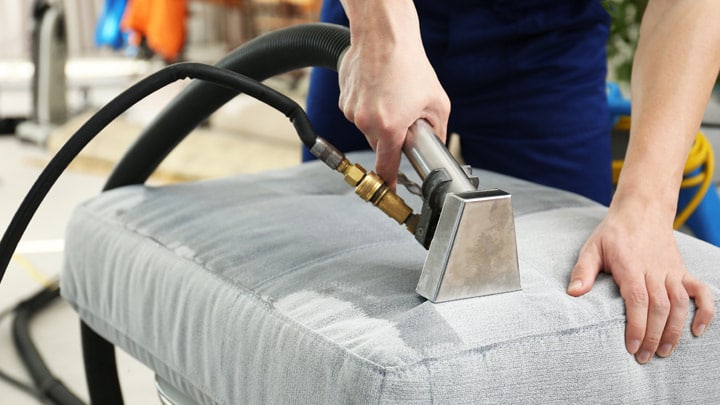 dorsa maxi - furniture deep cleaning and maintenance