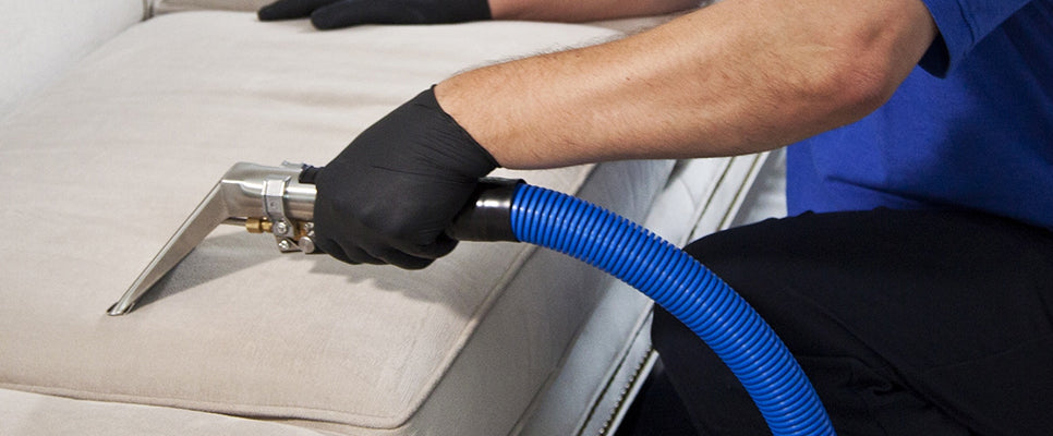 dorsa maxi - furniture deep cleaning and maintenance