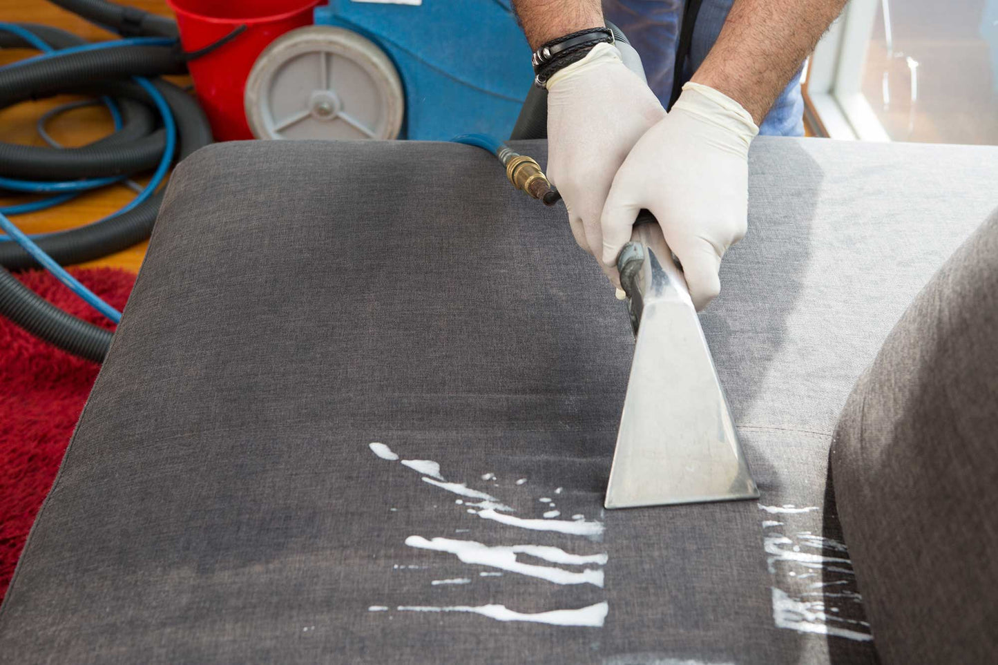 dorsa maxi - furniture deep cleaning and maintenance