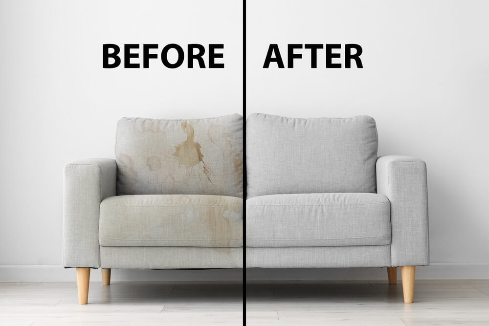 dorsa maxi - furniture deep cleaning and maintenance