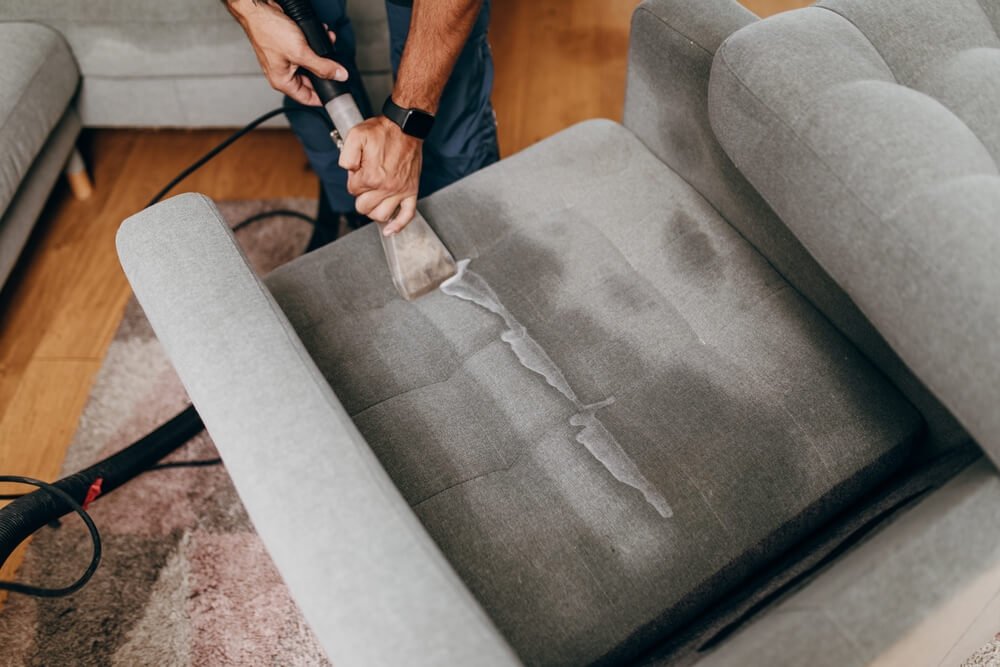 dorsa maxi - furniture deep cleaning and maintenance