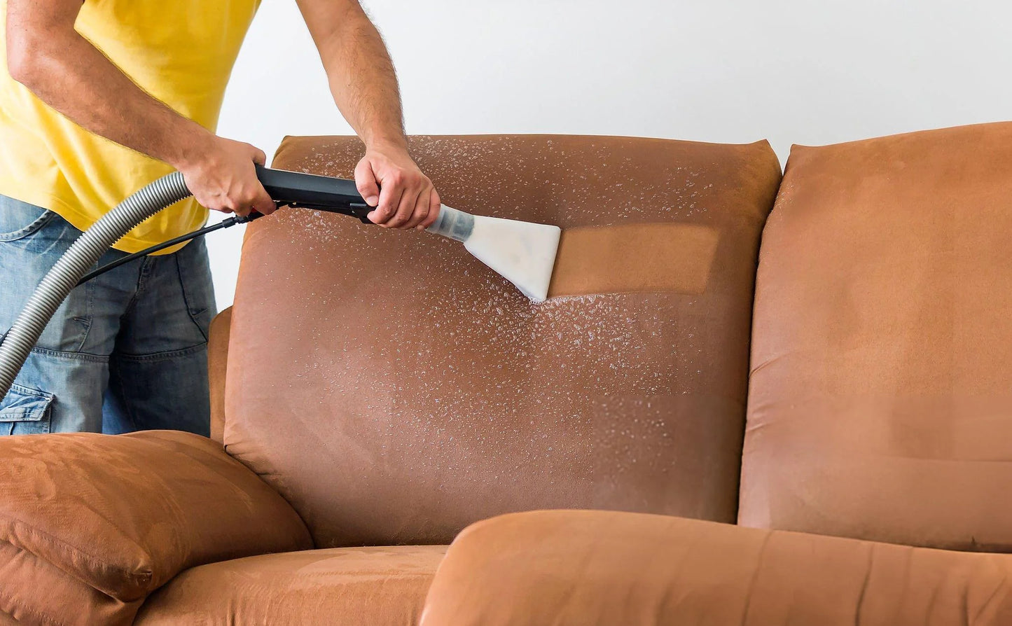 dorsa maxi - furniture deep cleaning and maintenance