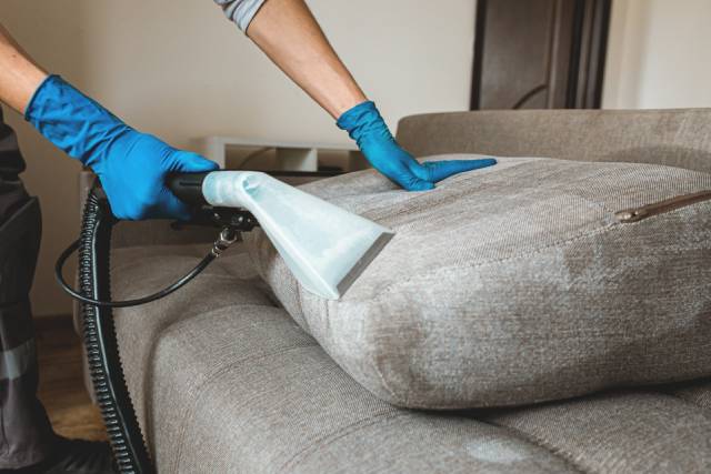 dorsa maxi - furniture deep cleaning and maintenance