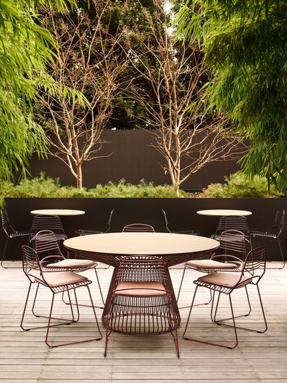 Vision Session - DorsaVision Session